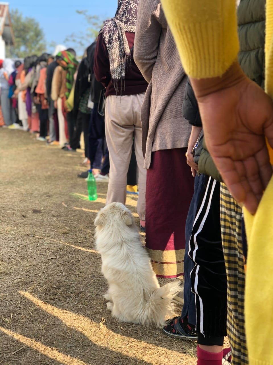 Dior caught the attention of the voters and security personnel alike at GPS Chisholimi polling station under 13 Pughoboto AC on February 27. The fluffy man's best friend faithfully sat in line the whole way through as her human parents stood in queue to cast their vote. (Morung Photo)